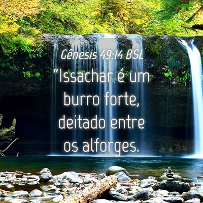 Picture 04 - Gênesis 49:14 BSL - “Issachar é um burro forte, deitado entre os - Bible Verse Picture