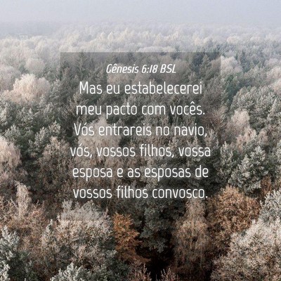 Picture 04 - Gênesis 6:18 BSL - Mas eu estabelecerei meu pacto com vocês. Vós - Bible Verse Picture