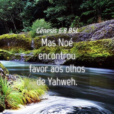 Picture 04 - Gênesis 6:8 BSL - Mas Noé encontrou favor aos olhos de - Bible Verse Picture