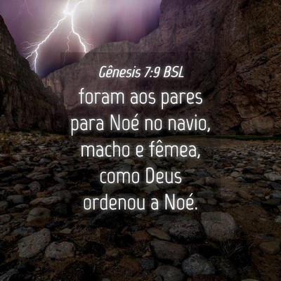 Picture 04 - Gênesis 7:9 BSL - foram aos pares para Noé no navio, macho e - Bible Verse Picture