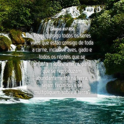 Picture 04 - Gênesis 8:17 BSL - Traga consigo todos os seres vivos que estão - Bible Verse Picture