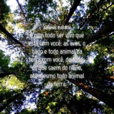 Picture 04 - Gênesis 9:10 BSL - e com todo ser vivo que está com você: as aves, - Bible Verse Picture