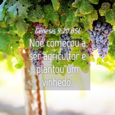 Picture 04 - Gênesis 9:20 BSL - Noé começou a ser agricultor e plantou um - Bible Verse Picture