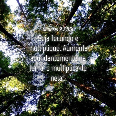 Picture 04 - Gênesis 9:7 BSL - Seja fecundo e multiplique. Aumenta - Bible Verse Picture