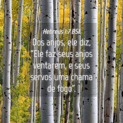 Picture 04 - Hebreus 1:7 BSL - Dos anjos, ele diz, “Ele faz seus anjos - Bible Verse Picture