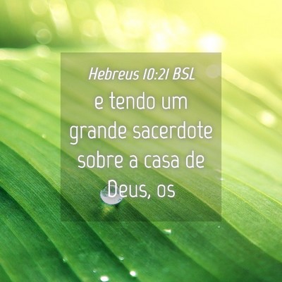Picture 04 - Hebreus 10:21 BSL - e tendo um grande sacerdote sobre a casa de Deus, - Bible Verse Picture