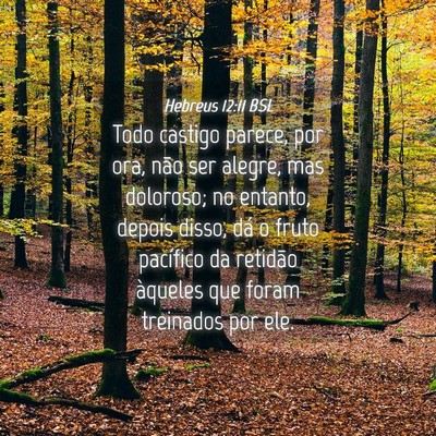 Picture 04 - Hebreus 12:11 BSL - Todo castigo parece, por ora, não ser alegre, - Bible Verse Picture