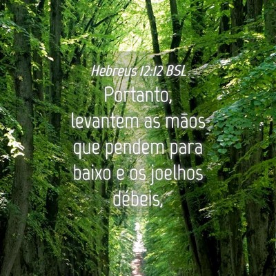 Picture 04 - Hebreus 12:12 BSL - Portanto, levantem as mãos que pendem para baixo - Bible Verse Picture