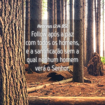 Picture 04 - Hebreus 12:14 BSL - Follow após a paz com todos os homens, e a - Bible Verse Picture