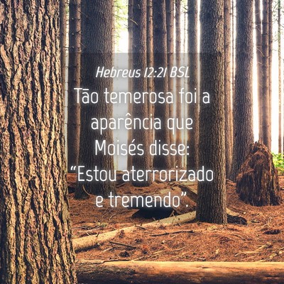 Picture 04 - Hebreus 12:21 BSL - Tão temerosa foi a aparência que Moisés disse: - Bible Verse Picture