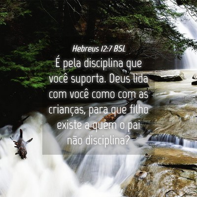Picture 04 - Hebreus 12:7 BSL - É pela disciplina que você suporta. Deus lida - Bible Verse Picture
