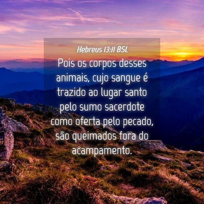 Picture 04 - Hebreus 13:11 BSL - Pois os corpos desses animais, cujo sangue é - Bible Verse Picture