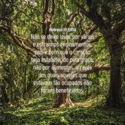 Picture 04 - Hebreus 13:9 BSL - Não se deixe levar por vários e estranhos - Bible Verse Picture