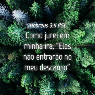 Picture 04 - Hebreus 3:11 BSL - Como jurei em minha ira, “Eles não entrarão - Bible Verse Picture