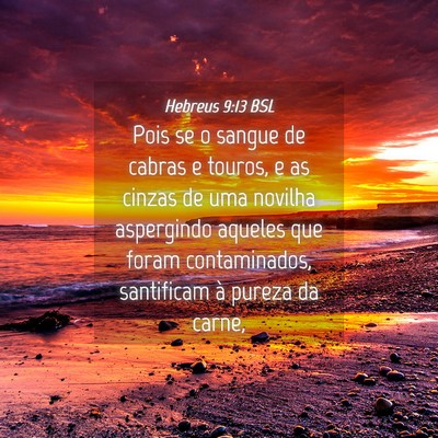 Picture 04 - Hebreus 9:13 BSL - Pois se o sangue de cabras e touros, e as cinzas - Bible Verse Picture