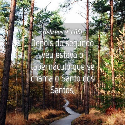 Picture 04 - Hebreus 9:3 BSL - Depois do segundo véu estava o tabernáculo que - Bible Verse Picture