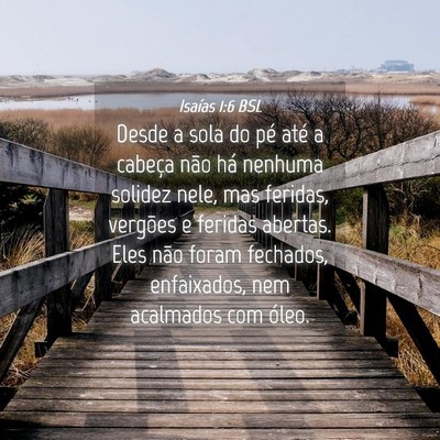 Picture 04 - Isaías 1:6 BSL - Desde a sola do pé até a cabeça não há - Bible Verse Picture
