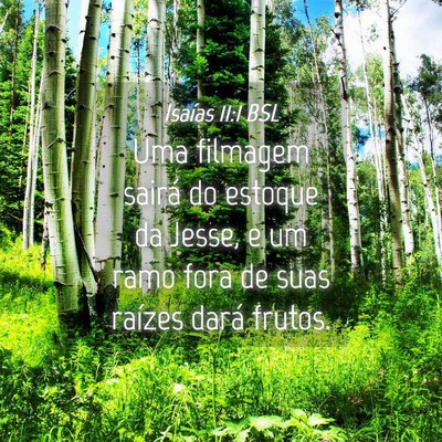 Picture 04 - Isaías 11:1 BSL - Uma filmagem sairá do estoque da Jesse, e um - Bible Verse Picture