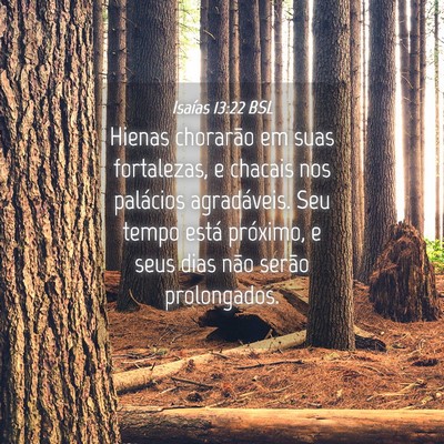 Picture 04 - Isaías 13:22 BSL - Hienas chorarão em suas fortalezas, e chacais - Bible Verse Picture
