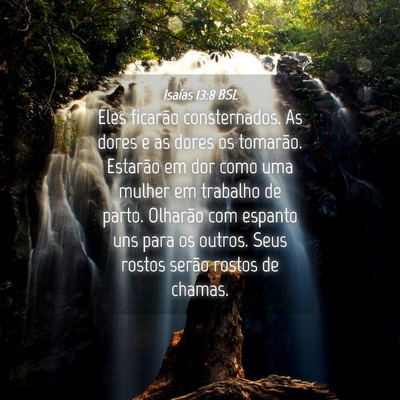 Picture 04 - Isaías 13:8 BSL - Eles ficarão consternados. As dores e as dores - Bible Verse Picture