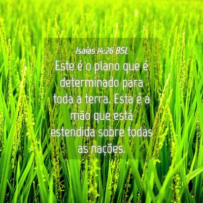 Picture 04 - Isaías 14:26 BSL - Este é o plano que é determinado para toda a - Bible Verse Picture