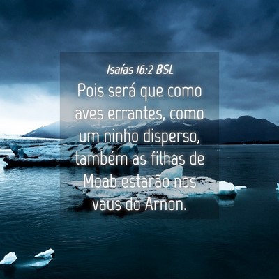 Picture 04 - Isaías 16:2 BSL - Pois será que como aves errantes, como um ninho - Bible Verse Picture