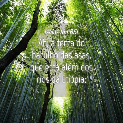 Picture 04 - Isaías 18:1 BSL - Ah, a terra do barulho das asas, que está além - Bible Verse Picture
