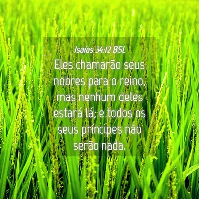 Picture 04 - Isaías 34:12 BSL - Eles chamarão seus nobres para o reino, mas - Bible Verse Picture