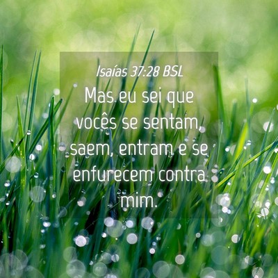 Picture 04 - Isaías 37:28 BSL - Mas eu sei que vocês se sentam, saem, entram e - Bible Verse Picture