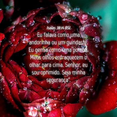 Picture 04 - Isaías 38:14 BSL - Eu falava como uma andorinha ou um guindaste. Eu - Bible Verse Picture