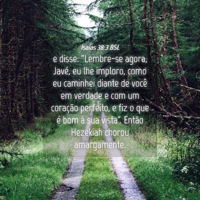 Picture 04 - Isaías 38:3 BSL - e disse: “Lembre-se agora, Javé, eu lhe - Bible Verse Picture