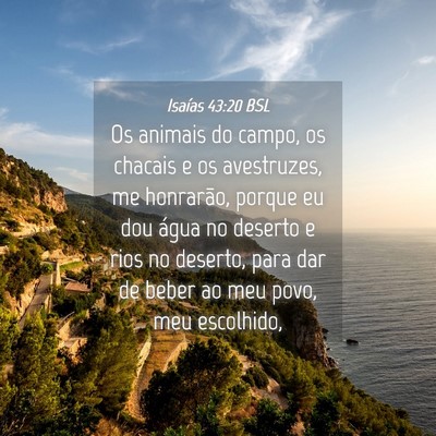 Picture 04 - Isaías 43:20 BSL - Os animais do campo, os chacais e os avestruzes, - Bible Verse Picture