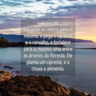 Picture 04 - Isaías 44:14 BSL - Ele corta os cedros para si mesmo, e pega o - Bible Verse Picture