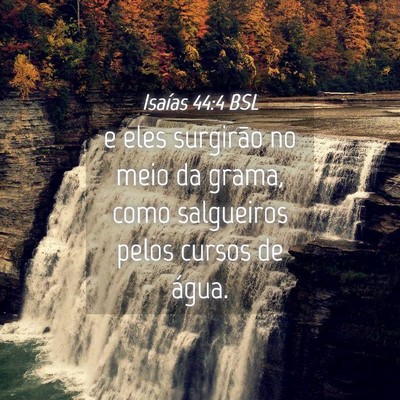 Picture 04 - Isaías 44:4 BSL - e eles surgirão no meio da grama, como - Bible Verse Picture