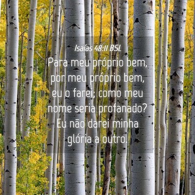 Picture 04 - Isaías 48:11 BSL - Para meu próprio bem, por meu próprio bem, eu o - Bible Verse Picture