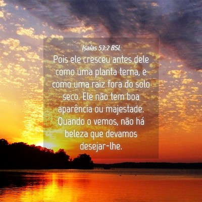 Picture 04 - Isaías 53:2 BSL - Pois ele cresceu antes dele como uma planta - Bible Verse Picture