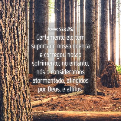 Picture 04 - Isaías 53:4 BSL - Certamente ele tem suportado nossa doença e - Bible Verse Picture