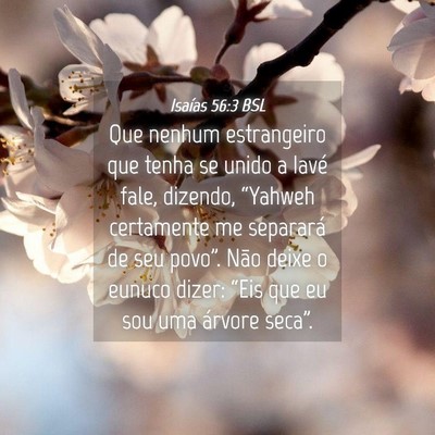 Picture 04 - Isaías 56:3 BSL - Que nenhum estrangeiro que tenha se unido a Iavé - Bible Verse Picture