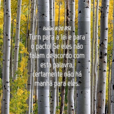 Picture 04 - Isaías 8:20 BSL - Turn para a lei e para o pacto! Se eles não - Bible Verse Picture