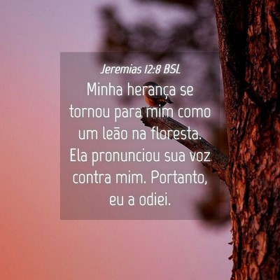 Picture 04 - Jeremias 12:8 BSL - Minha herança se tornou para mim como um leão - Bible Verse Picture