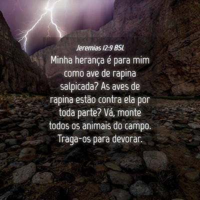 Picture 04 - Jeremias 12:9 BSL - Minha herança é para mim como ave de rapina - Bible Verse Picture