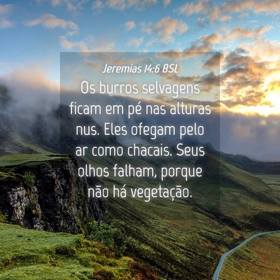 Picture 04 - Jeremias 14:6 BSL - Os burros selvagens ficam em pé nas alturas nus. - Bible Verse Picture