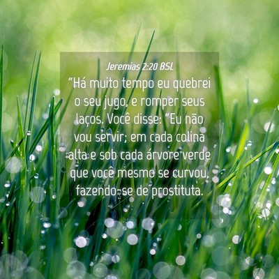 Picture 04 - Jeremias 2:20 BSL - “Há muito tempo eu quebrei o seu jugo, e - Bible Verse Picture