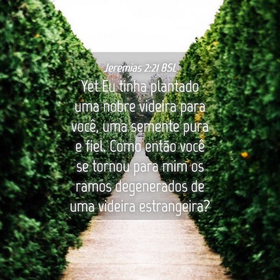 Picture 04 - Jeremias 2:21 BSL - Yet Eu tinha plantado uma nobre videira para - Bible Verse Picture
