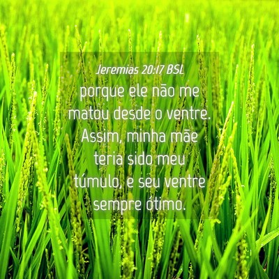 Picture 04 - Jeremias 20:17 BSL - porque ele não me matou desde o ventre. Assim, - Bible Verse Picture