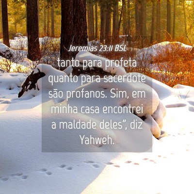 Picture 04 - Jeremias 23:11 BSL - tanto para profeta quanto para sacerdote são - Bible Verse Picture