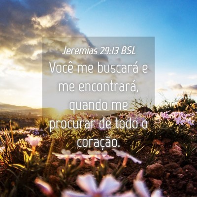 Picture 04 - Jeremias 29:13 BSL - Você me buscará e me encontrará, quando me - Bible Verse Picture