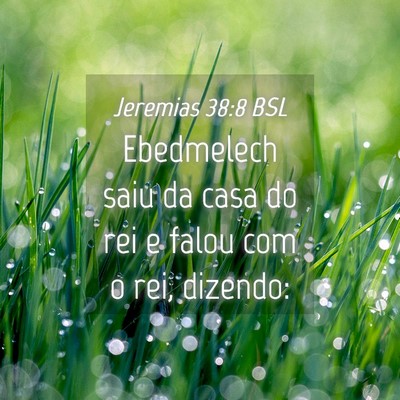 Picture 04 - Jeremias 38:8 BSL - Ebedmelech saiu da casa do rei e falou com o rei, - Bible Verse Picture
