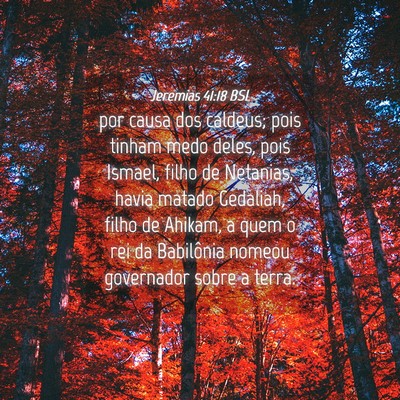 Picture 04 - Jeremias 41:18 BSL - por causa dos caldeus; pois tinham medo deles, - Bible Verse Picture