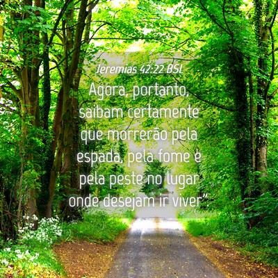 Picture 04 - Jeremias 42:22 BSL - Agora, portanto, saibam certamente que morrerão - Bible Verse Picture